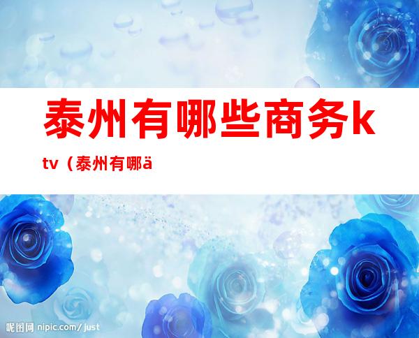 泰州有哪些商务ktv(泰州有哪些商务饭店)