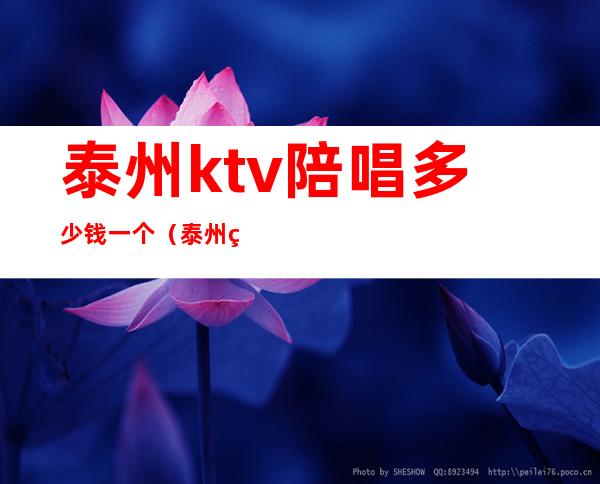 泰州ktv陪唱多少钱一个(泰州私人订制ktv消费)