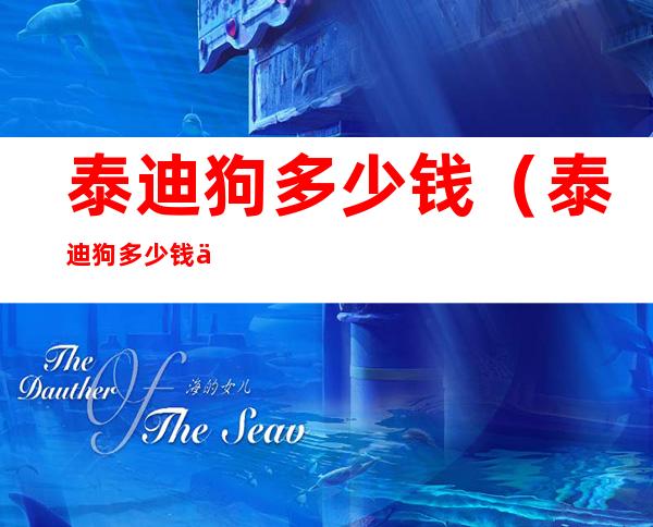 泰迪狗多少钱(泰迪狗多少钱一只幼崽)