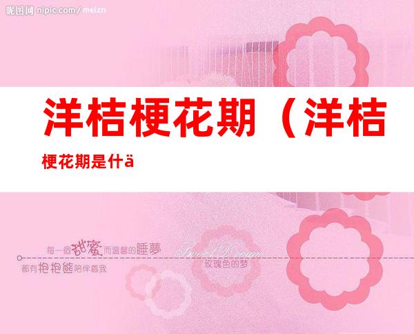 洋桔梗花期(洋桔梗花期是什么时候)