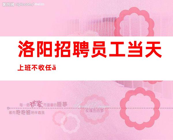 洛阳招聘员工 当天上班 不收任何费用