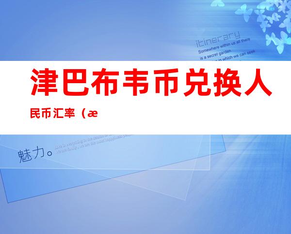 津巴布韦币兑换人民币汇率（津巴布韦币兑换人民币汇率多少）
