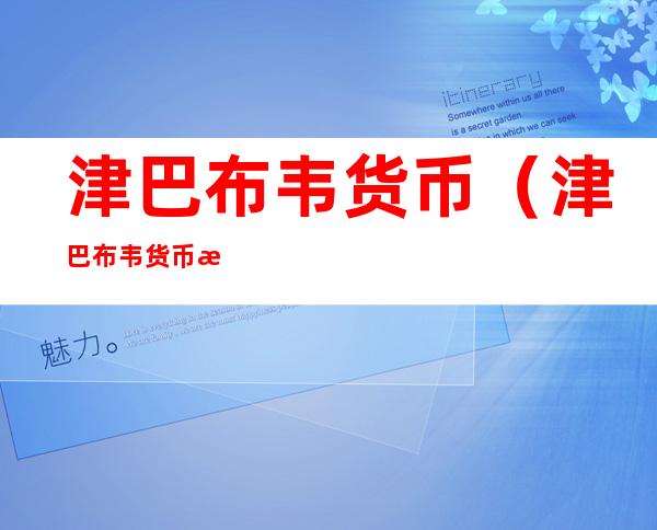 津巴布韦货币（津巴布韦货币换算人民币）