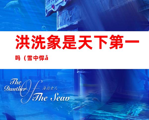 洪洗象是天下第一吗（雪中悍刀行武当洪洗象是天下第一吗）