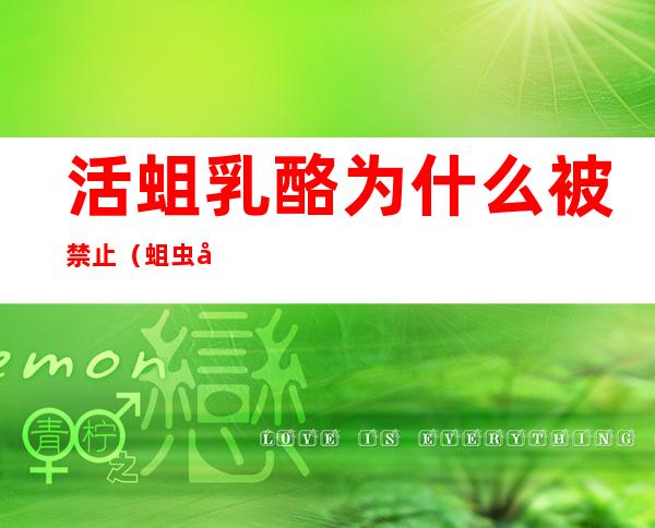 活蛆乳酪为什么被禁止(蛆虫奶酪为什么有人吃)
