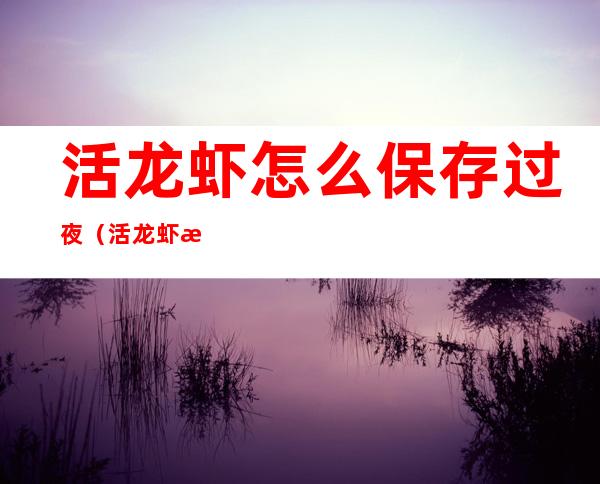 活龙虾怎么保存过夜(活龙虾怎么保存过夜不会坏)