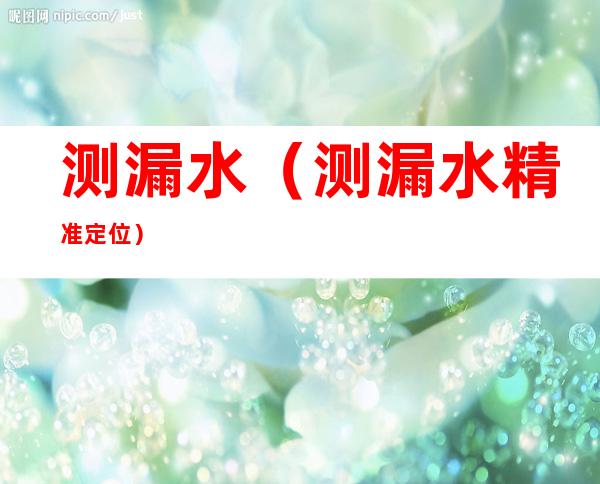 测漏水(测漏水精准定位)
