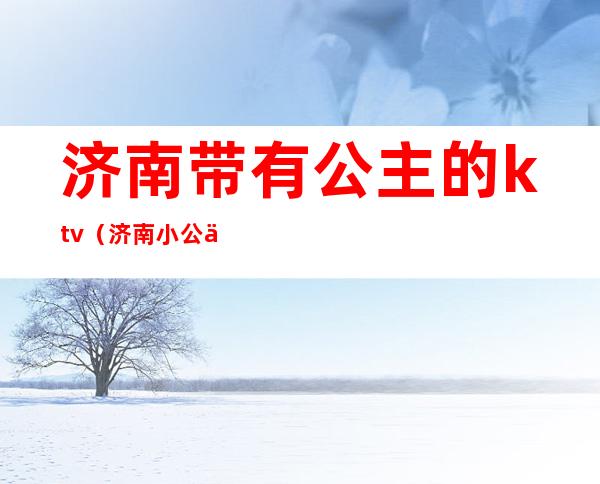 济南带有公主的ktv(济南小公主)