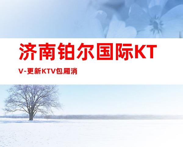 济南铂尔国际KTV-更新KTV包厢消费信息平台