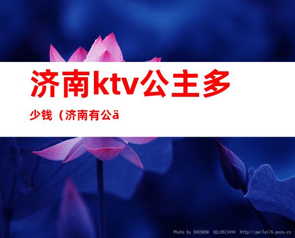 济南ktv公主多少钱(济南有公主的KTV)