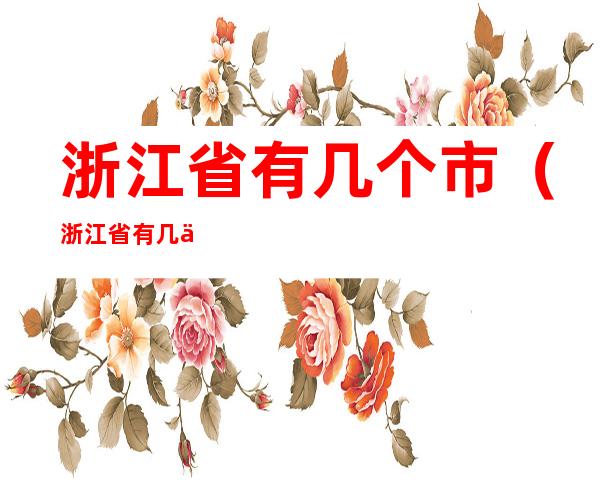 浙江省有几个市（浙江省有几个市车牌）
