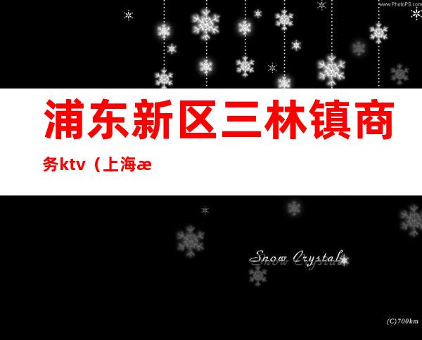 浦东新区三林镇商务ktv(上海浦东三林镇政府官网)