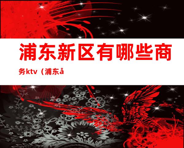 浦东新区有哪些商务ktv(浦东商务中心)