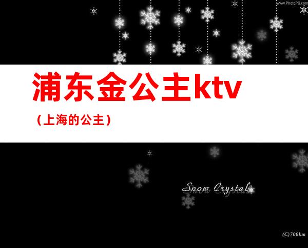 浦东金公主ktv(上海的公主)