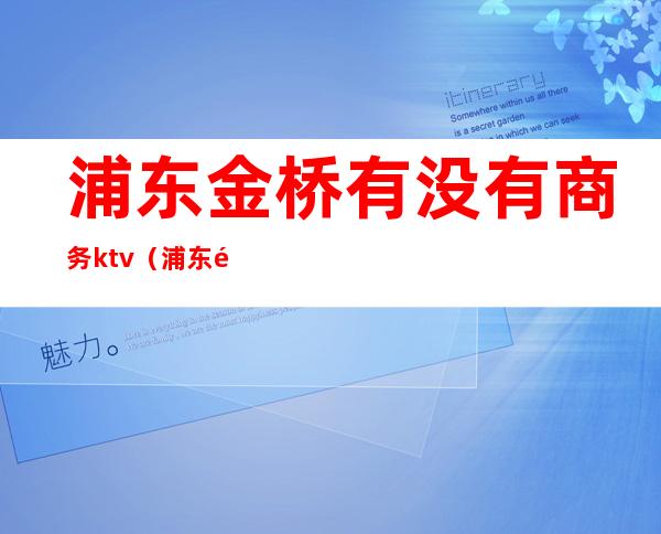 浦东金桥有没有商务ktv(浦东金桥怎么样)