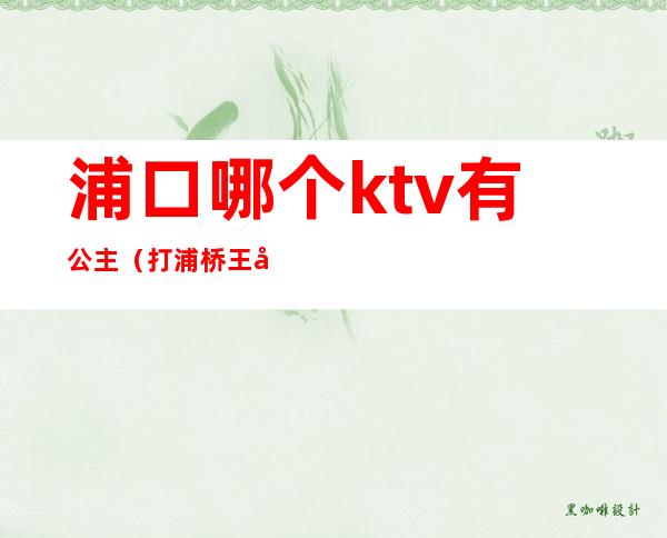 浦口哪个ktv有公主(打浦桥王子公主ktv)