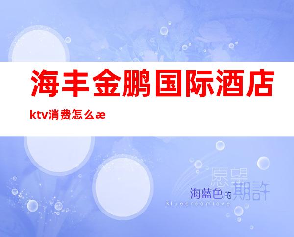 海丰金鹏国际酒店ktv消费怎么样(海口金凰国际ktv怎么样)