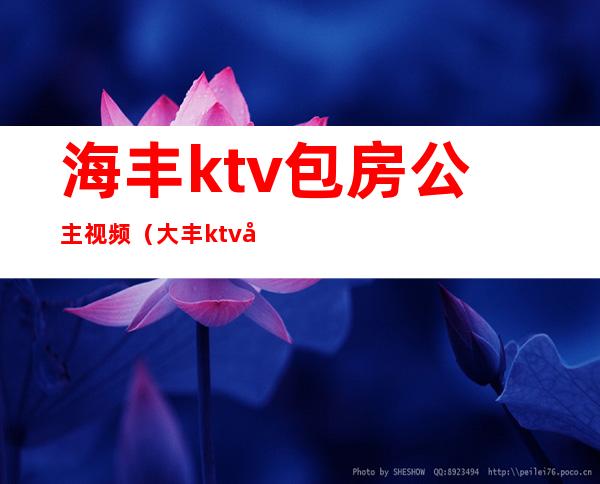 海丰ktv包房公主视频(大丰ktv公主)