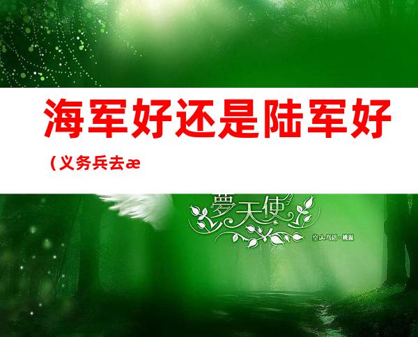 海军好还是陆军好(义务兵去海军好还是陆军好)