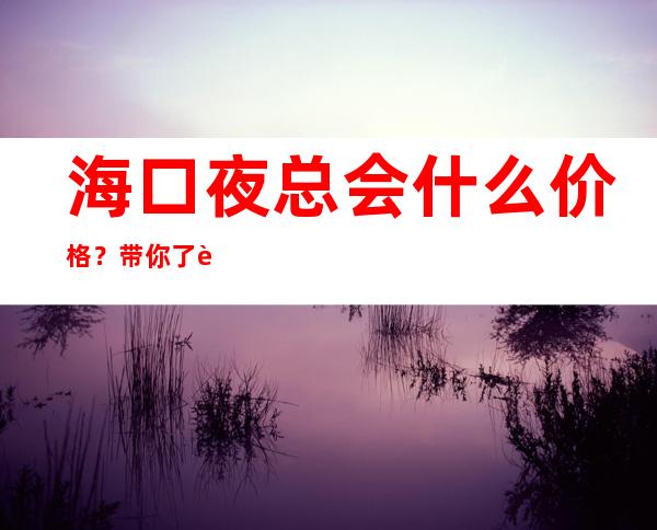 海口夜总会什么价格?带你了解内部 – 海口全海口商务KTV