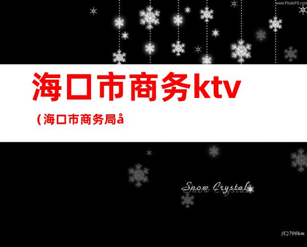 海口市商务ktv(海口市商务局副局长胡珊)