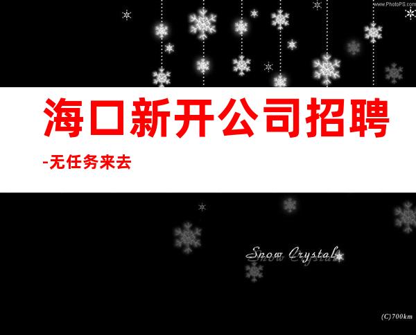 海口新开公司招聘-无任务来去自由每天轻松上班