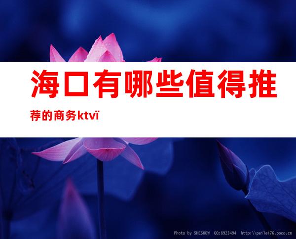 海口有哪些值得推荐的商务ktv（海口国贸好吃的）