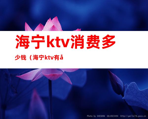 海宁ktv消费多少钱(海宁ktv有哪些)