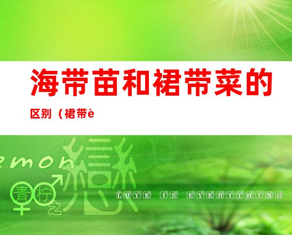海带苗和裙带菜的区别（裙带菜与海带苗的区别）