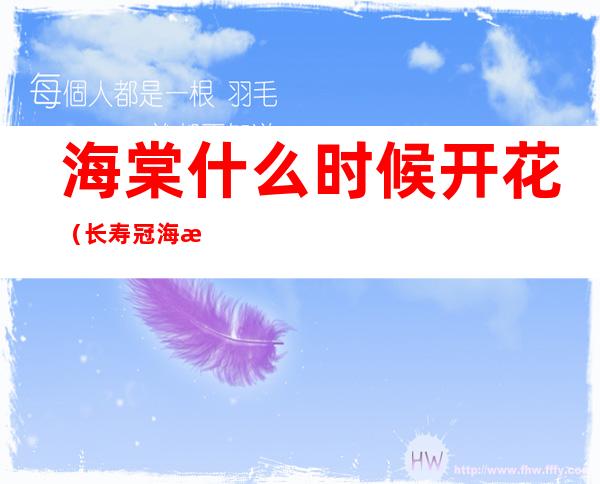 海棠什么时候开花(长寿冠海棠什么时候开花)