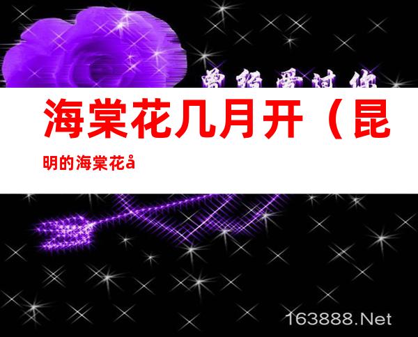 海棠花几月开(昆明的海棠花几月开)