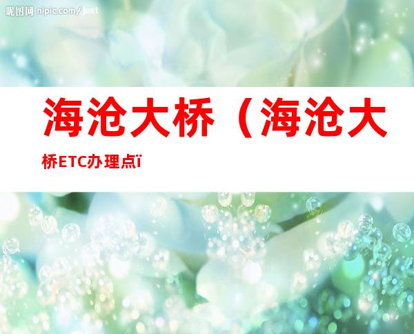 海沧大桥（海沧大桥ETC办理点）