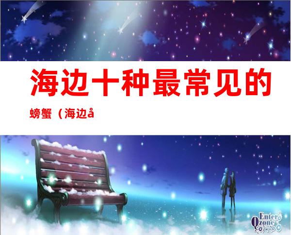 海边十种最常见的螃蟹(海边十种最常见的螃蟹品种)