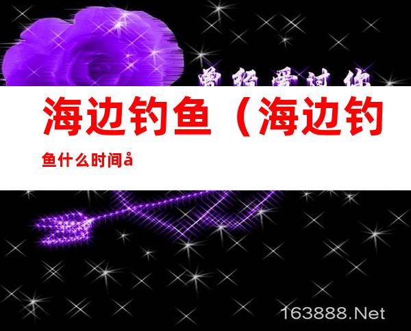 海边钓鱼(海边钓鱼什么时间好钓)
