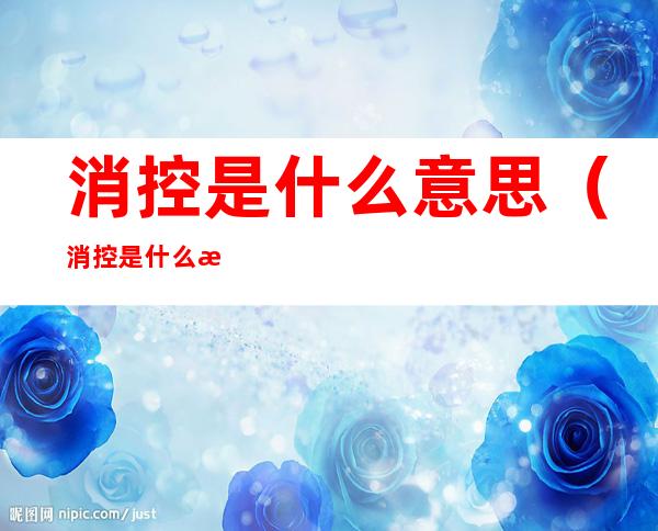 消控是什么意思(消控是什么意思网络用语)