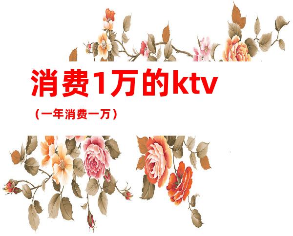 消费1万的ktv(一年消费一万)