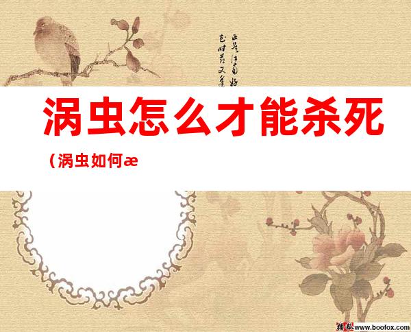 涡虫怎么才能杀死(涡虫如何排泄)