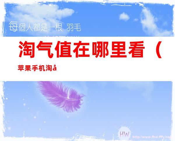 淘气值在哪里看(苹果手机淘宝淘气值在哪里看)