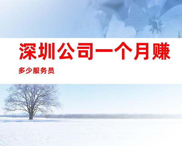 深圳公司一个月赚多少服务员