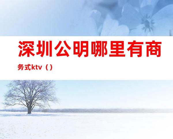 深圳公明哪里有商务式ktv()
