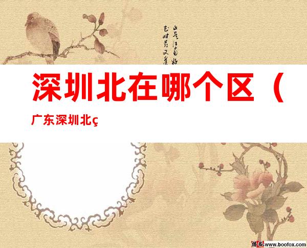 深圳北在哪个区(广东深圳北站在哪个区)