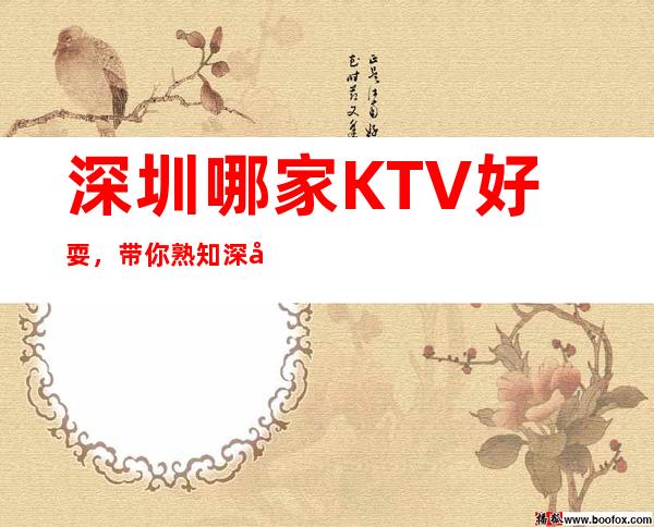 深圳哪家KTV好耍，带你熟知深圳夜晚好玩好耍KTV