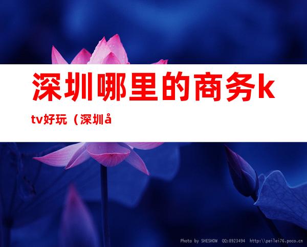 深圳哪里的商务ktv好玩（深圳商务场ktv排名）