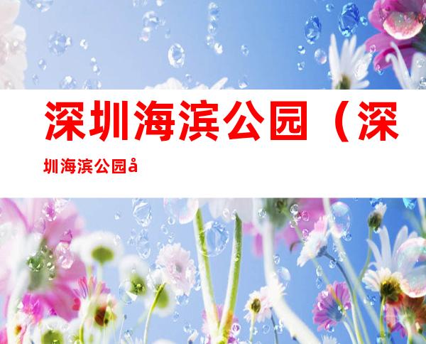 深圳海滨公园（深圳海滨公园在哪个地铁站）