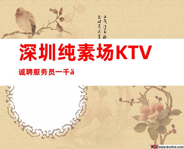深圳纯素场KTV诚聘服务员一千三起,只要努力在这里都能实现