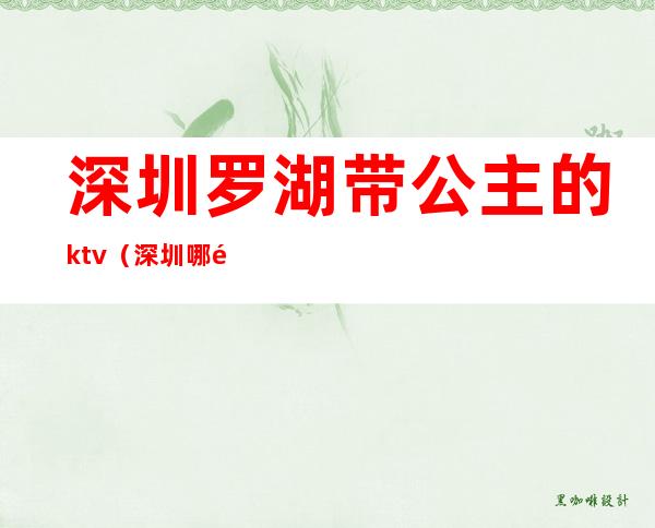 深圳罗湖带公主的ktv（深圳哪里有公主）