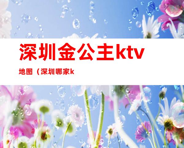 深圳金公主ktv地图（深圳哪家ktv有公主）