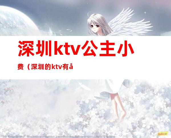 深圳ktv公主小费(深圳的ktv有公主吗)
