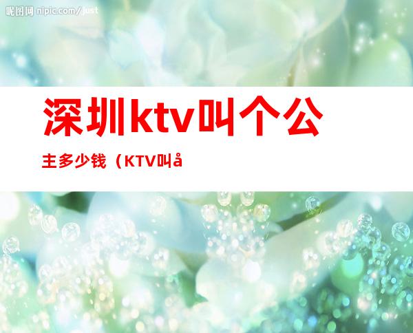深圳ktv叫个公主多少钱(KTV叫公主多少钱)