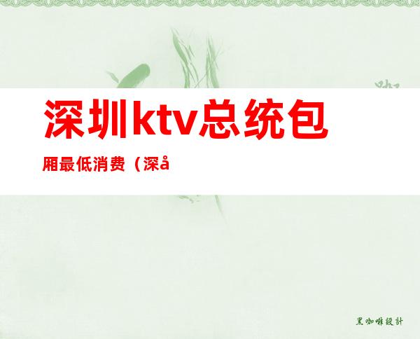 深圳ktv总统包厢最低消费(深圳顶级KTV)